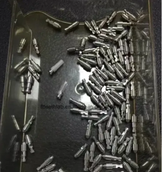 좋은 서비스 교정 치료 치과 지대주 지르코니아 지대주